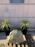 Garden Water Boulder Water Feature 2