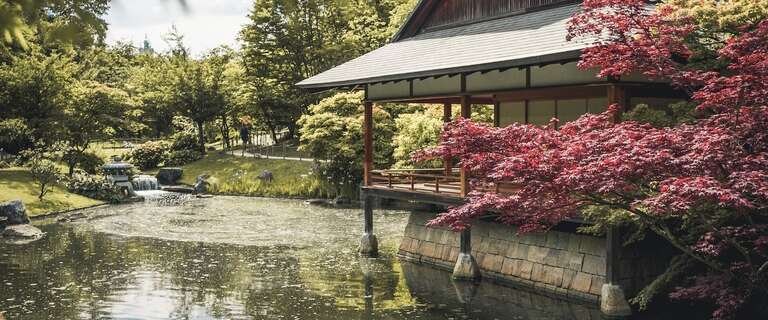 5 Key Features of Japanese Garden Design