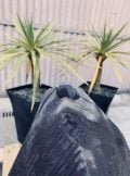SM4 Slate Monolith 5 | Welsh Slate Water Features