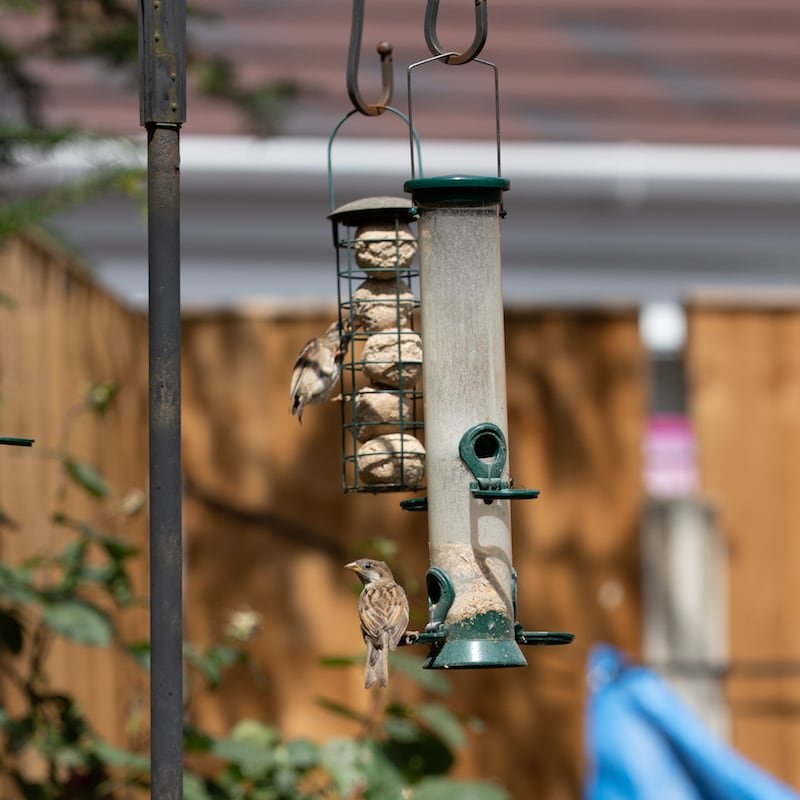 Bird Feeder 1 by Gareth Kelley | Welsh Slate Water Features