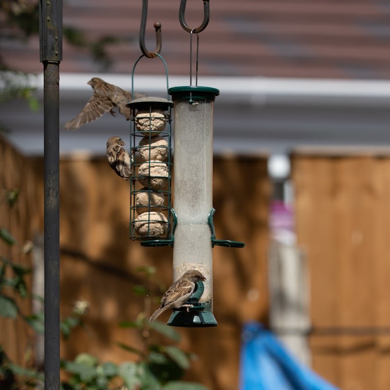 Bird Feeder 2 by Gareth Kelley | Welsh Slate Water Features