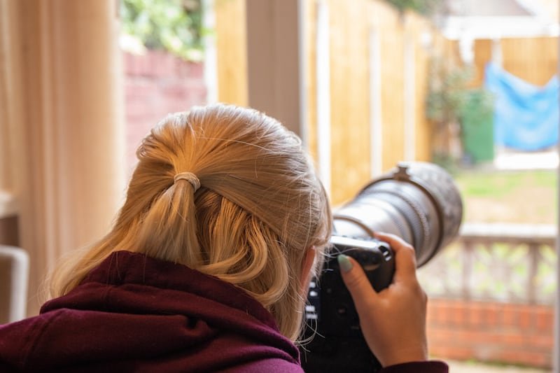 How To Start Photographing Birds To Your Garden 02 | Welsh Slate Water Features