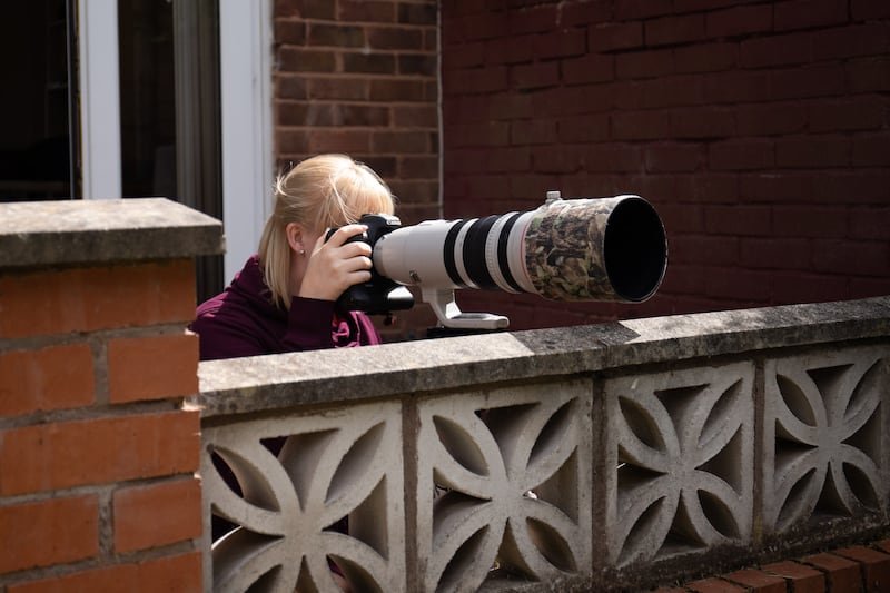 How To Start Photographing Birds To Your Garden 03 | Welsh Slate Water Features