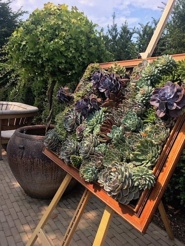 Succulent Art at RHS Wisley | Welsh Slate Water Features