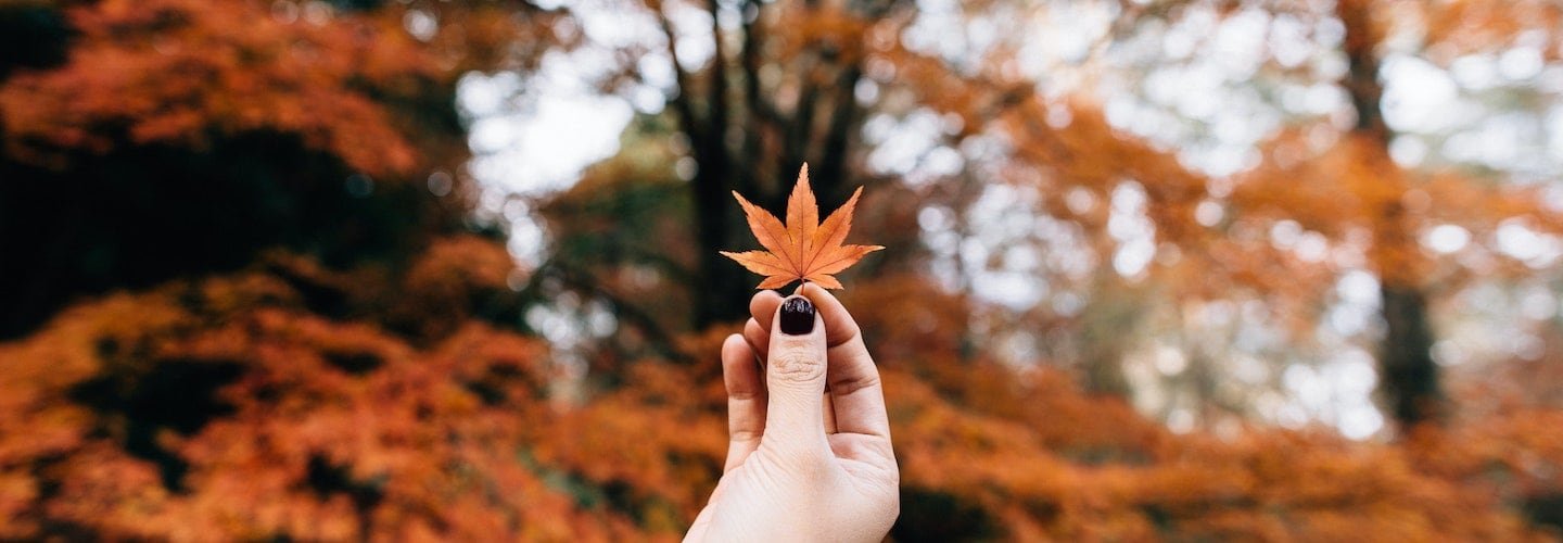 Autumn Gardening Ideas | Welsh Slate Water Features