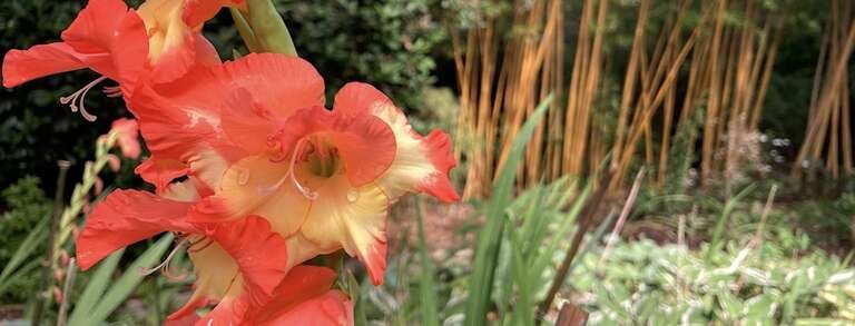 Compton Acres Gardens, Cafe & Shop | Welsh Slate Water Features