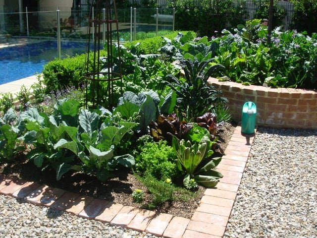 How To Make Raised Vegetable Beds | Welsh Slate Water Features 03