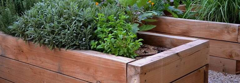 How To Make Raised Vegetable Beds