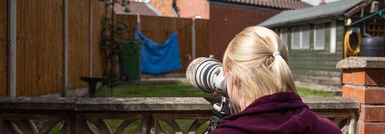 How To Photograph Garden Birds
