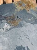 Waterfall Ledge WL002 3