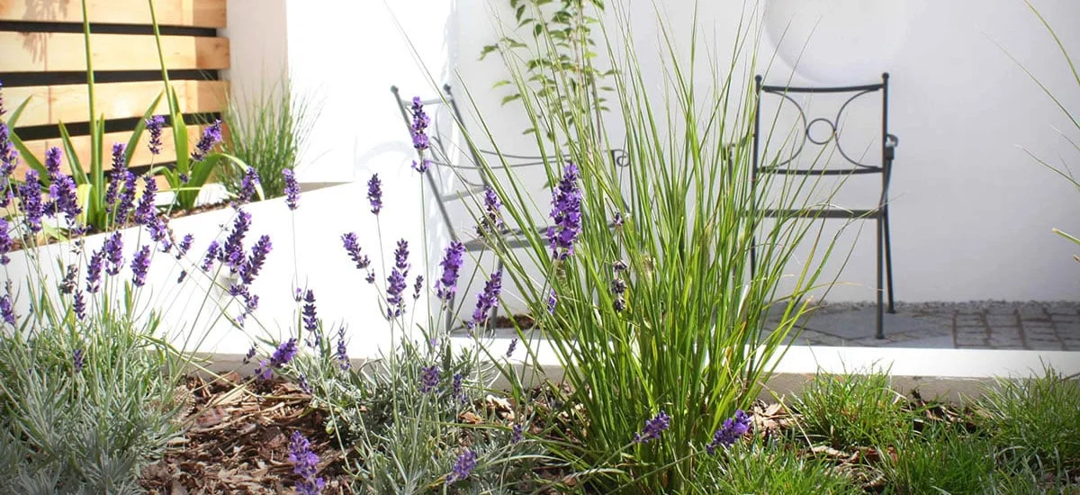 Haven Gardens - Approved Installer | Welsh Slate Water Features