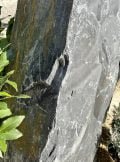 Slate Monolith SM104 Standing Stone