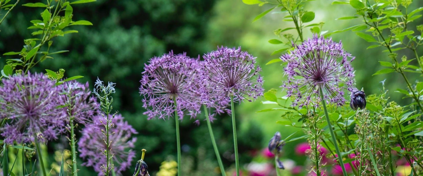 Spring Gardening Ideas | Welsh Slate Water Features