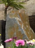 Slate Monolith SM130 06 | Welsh Slate Water Features