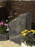 Slate Monolith SM134 04 | Welsh Slate Water Features