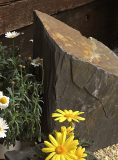 Slate Monolith SM135 03 | Welsh Slate Water Features