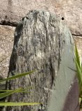 Slate Monolith SM138 | Welsh Slate Water Features 04