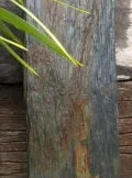 Waterfall Ledge WL009 | Welsh Slate Water Features 04