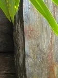 Waterfall Ledge WL009 | Welsh Slate Water Features 05