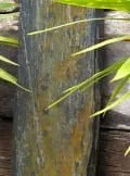 Waterfall Ledge WL009 | Welsh Slate Water Features 07