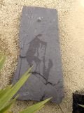 XL Stepping Stones XLS01 | Welsh Slate Water Features 02