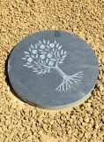 RHS Stepping Stones Pack 04 | Welsh Slate Water Features