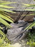 Slate Monolith SM167 Water Feature | Welsh Slate Water Features 02