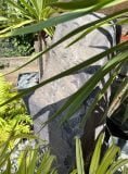 Slate Monolith SM176 Water Feature | Welsh Slate Water Features 04