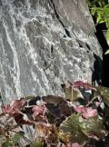 Japanese Monolith JM29 Standing Stone | Welsh Slate Water Features 05