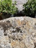 Granite Boulder GB43 Standing Stone | Welsh Slate Water Features 08