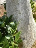 Stone Monolith SM189 Standing Stone | Welsh Slate Water Features 03