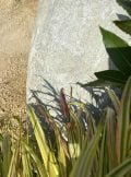 Stone Monolith SM189 Standing Stone | Welsh Slate Water Features 07