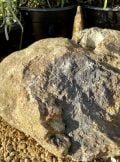 Granite Boulder GB47 Water Feature | Welsh Slate Water Features 03