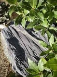Slate Monolith SM207 Standing Stone | Welsh Slate Water Features 03