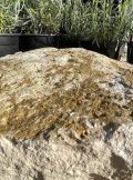Stone Boulder SB24 Water Feature | Welsh Slate Water Features 05
