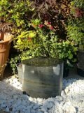 Stone Bird Bath SBB9 | Welsh Slate Water Features