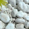 white-pebbles