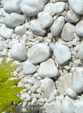 White Zen Pebbles for Garden Designs | Welsh Slate Water Features 03
