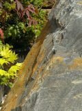 Japanese Monolith JM32 Standing Stone | Welsh Slate Water Features 03