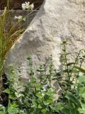 Portland Stone Monolith SM253 | Welsh Slate Water Features 5