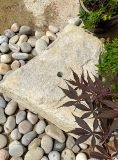 Stone Boulder SB36 Water Feature | Welsh Slate Water Features 1