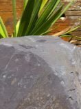 Slate Monolith SM254 | Welsh Slate Water Features 04