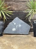 Waterfall Ledge WL020 | Welsh Slate Water Features 02