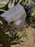 Window Stone WS39 Standing Stone | Welsh Slate Water Features 05