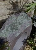 Window Stone WS44 Standing Stone | Welsh Slate Water Features 05