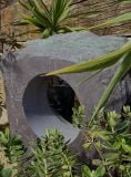 Window Stone WS44 Standing Stone