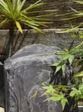 Slate Monolith SM279 Water Feature | Welsh Slate Water Features 05