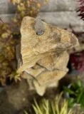 750mm Stone Pyramid Water Feature | Welsh Slate Water features 08