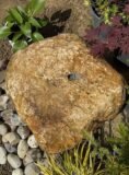 Stone Boulder SB77 Water Feature | Welsh Slate Water Features 05