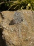 Stone Boulder SB81 Water Feature | Welsh Slate Water Features 07